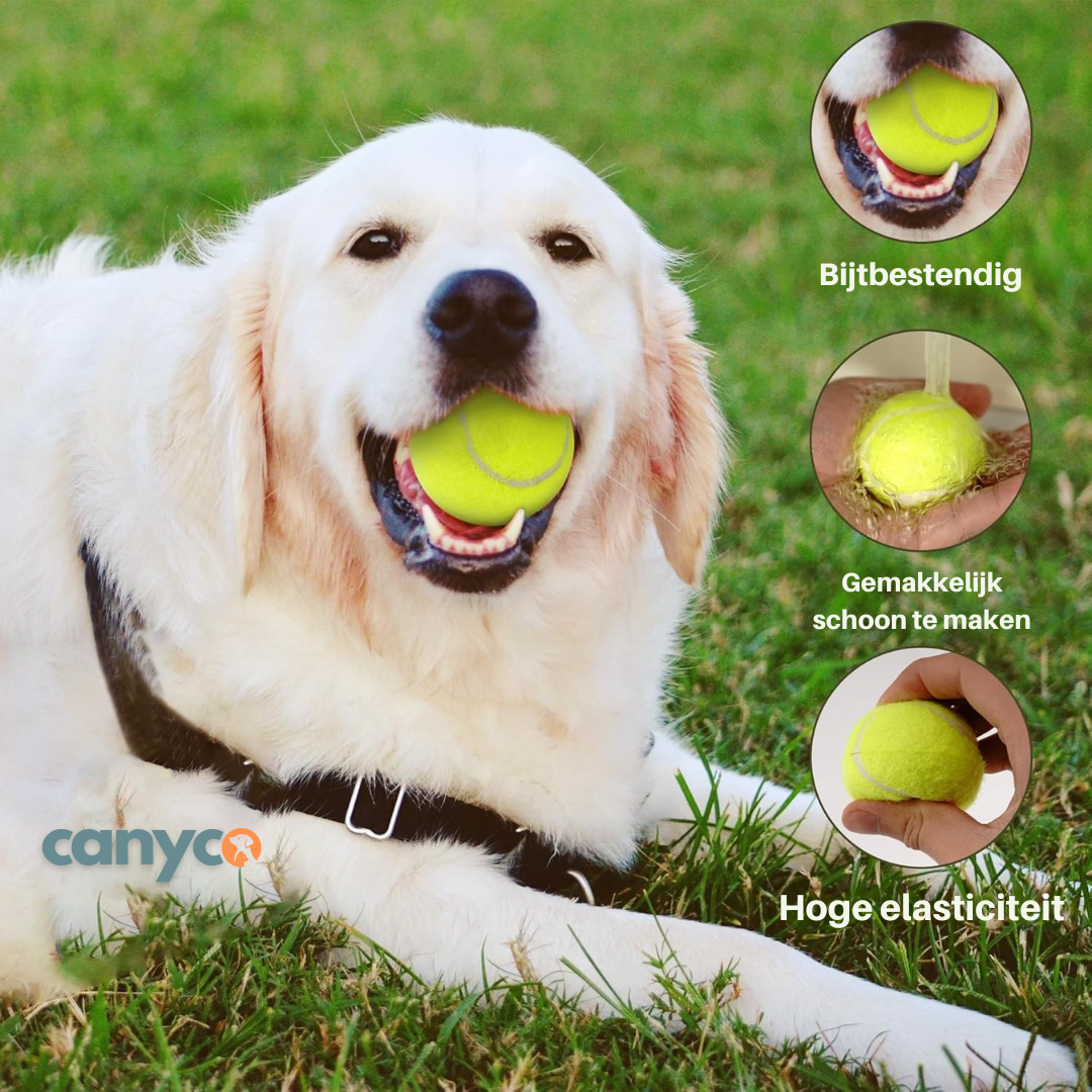 Automatische ballenwerper voor honden