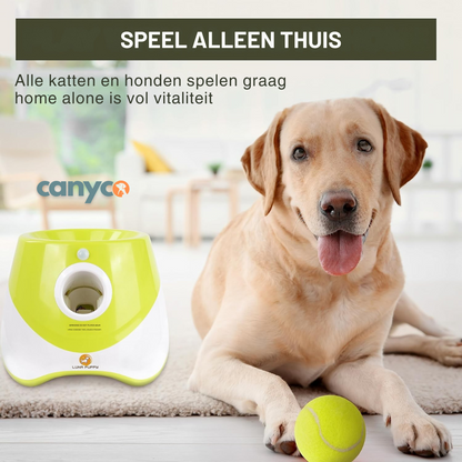 Automatische ballenwerper voor honden