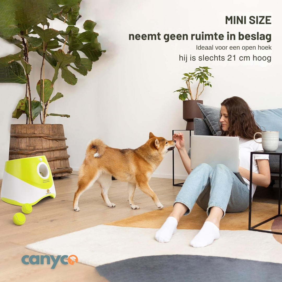 Automatische ballenwerper voor honden