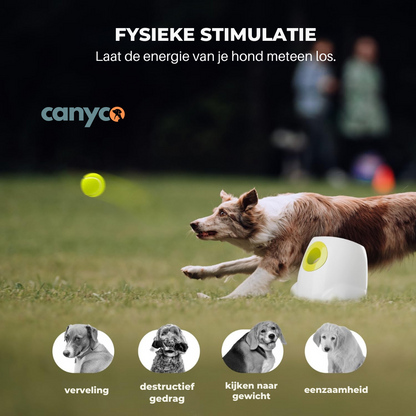 Automatische ballenwerper voor honden