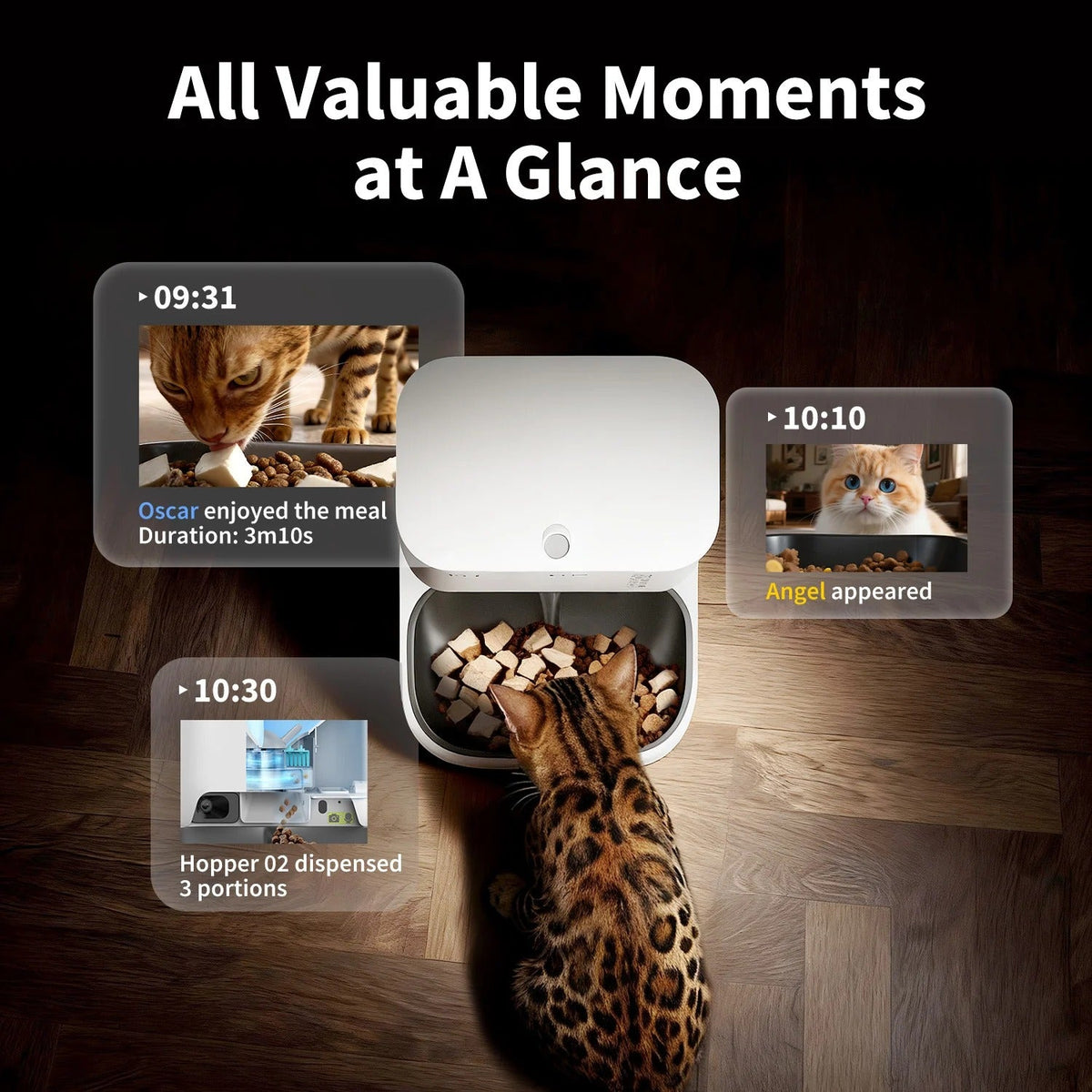 YumShare Dual-hopper 2 Automatic Feeder with Camera-3